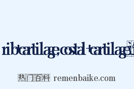 rib+cartilage;costal+cartilage造句是什么意思的图片